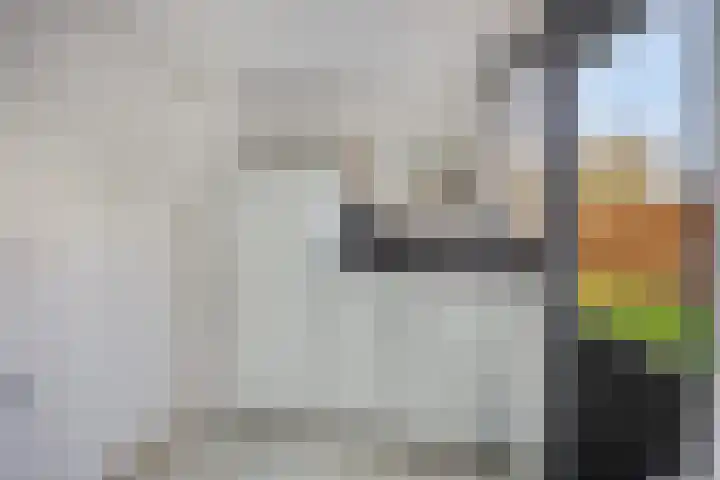 Gravenweg 30 Alkmaar thumbnail 16