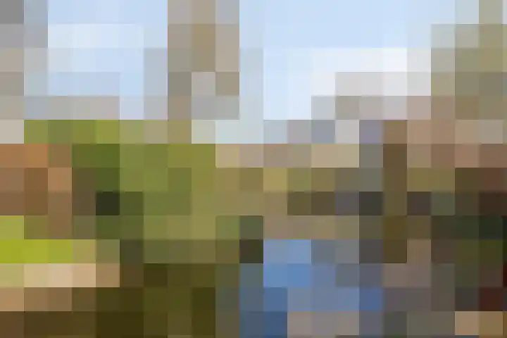 Gravenweg 30 Alkmaar thumbnail 35
