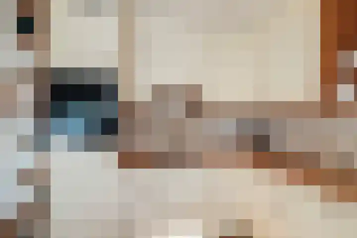 Gravenweg 30 Almen thumbnail 20