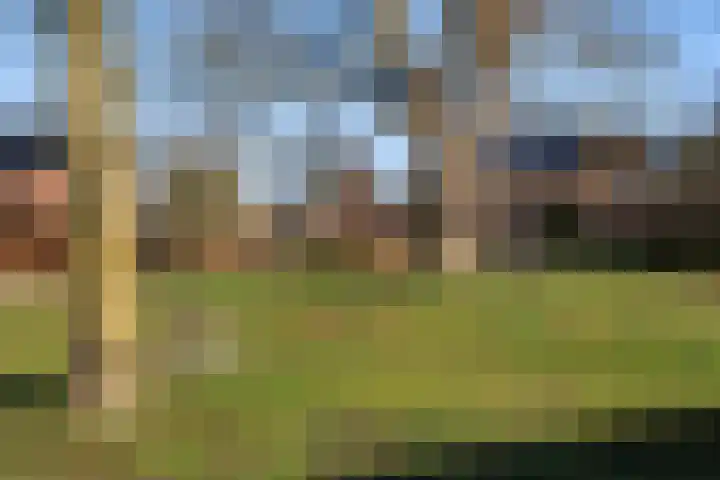 Gravenweg 30 Almen thumbnail 38