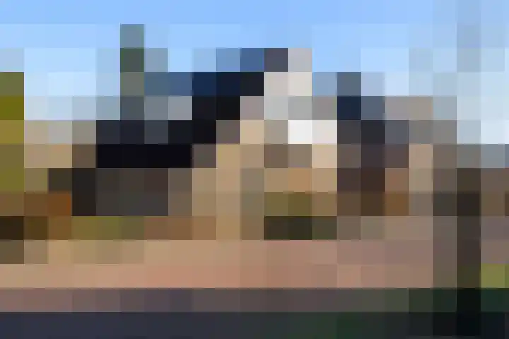 Gravenweg 30 Almen thumbnail 4