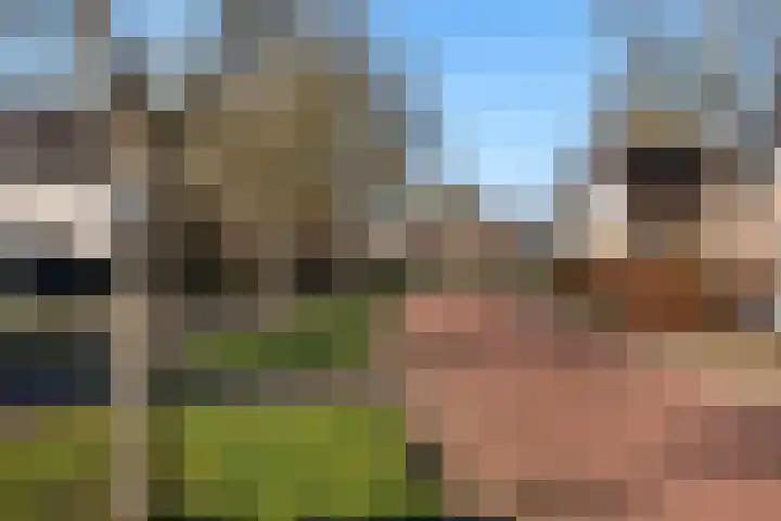 Gravenweg 30 Almen thumbnail 40