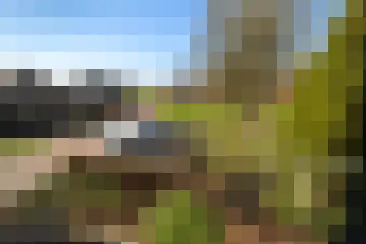 Gravenweg 30 Almen thumbnail 41