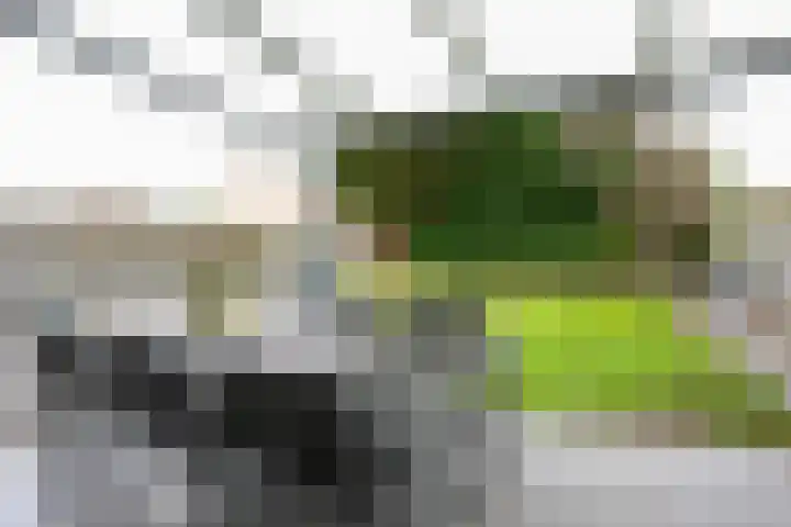Gravenweg 30 Landgraaf thumbnail 24