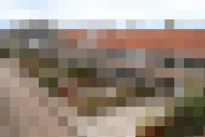 Graverij 11 Drachten thumbnail 39