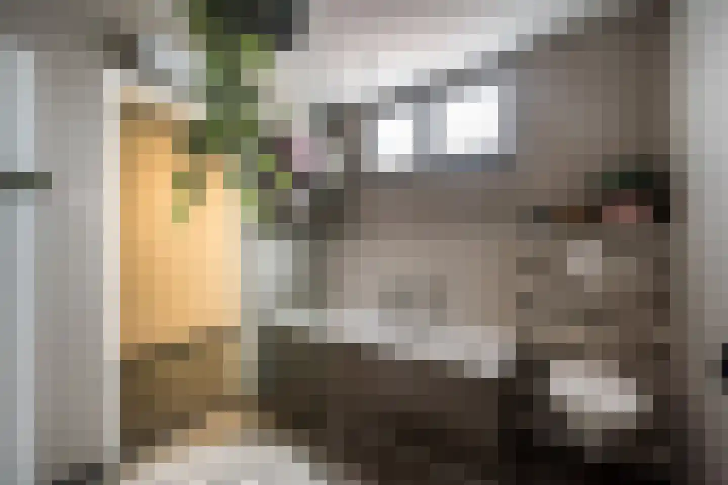 Graverstraat 123 Kerkrade thumbnail 19