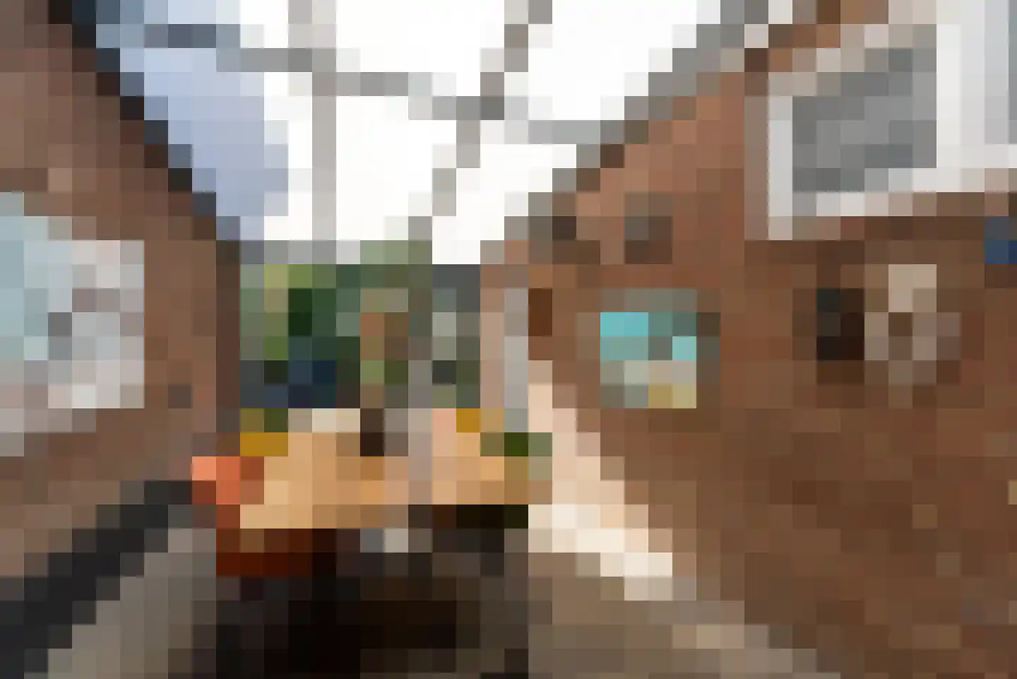 Graverstraat 123 Kerkrade thumbnail 32