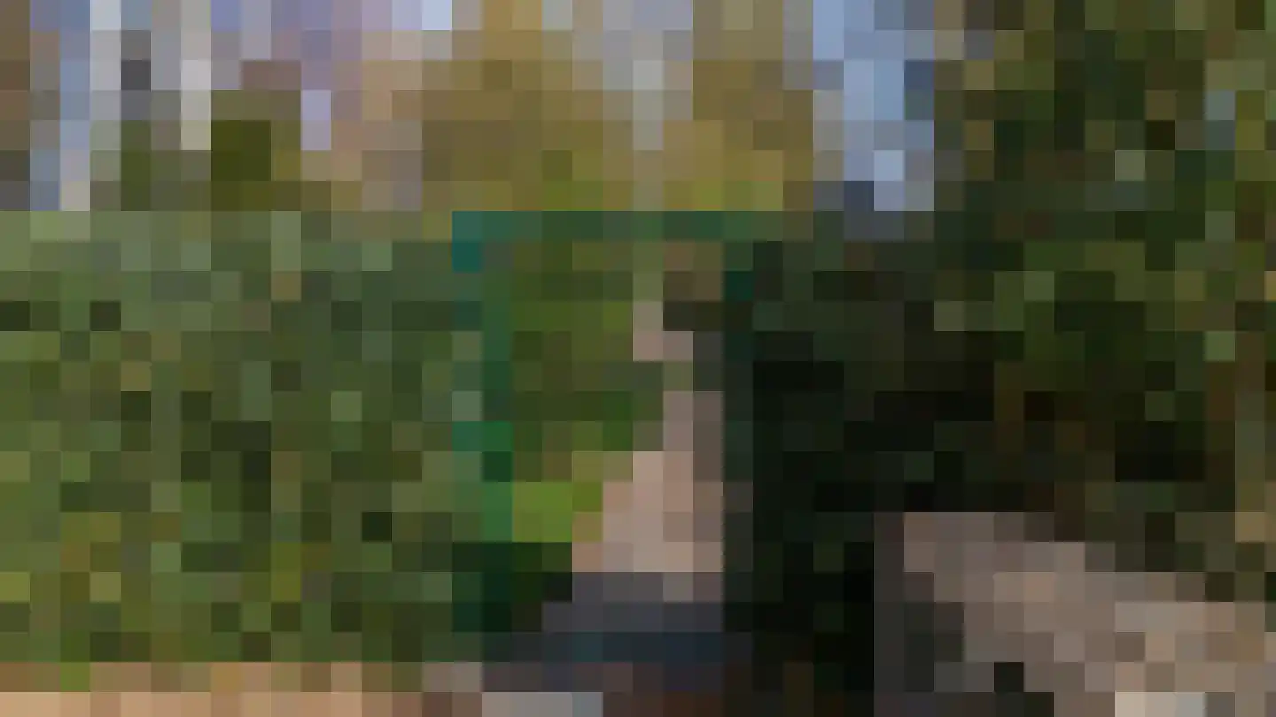 Graverstraat 123 Kerkrade thumbnail 39