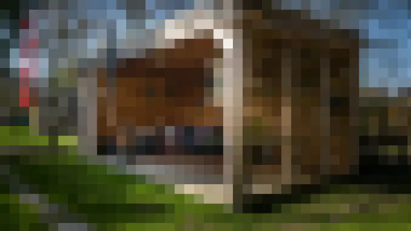 Graverstraat 123 Kerkrade thumbnail 41