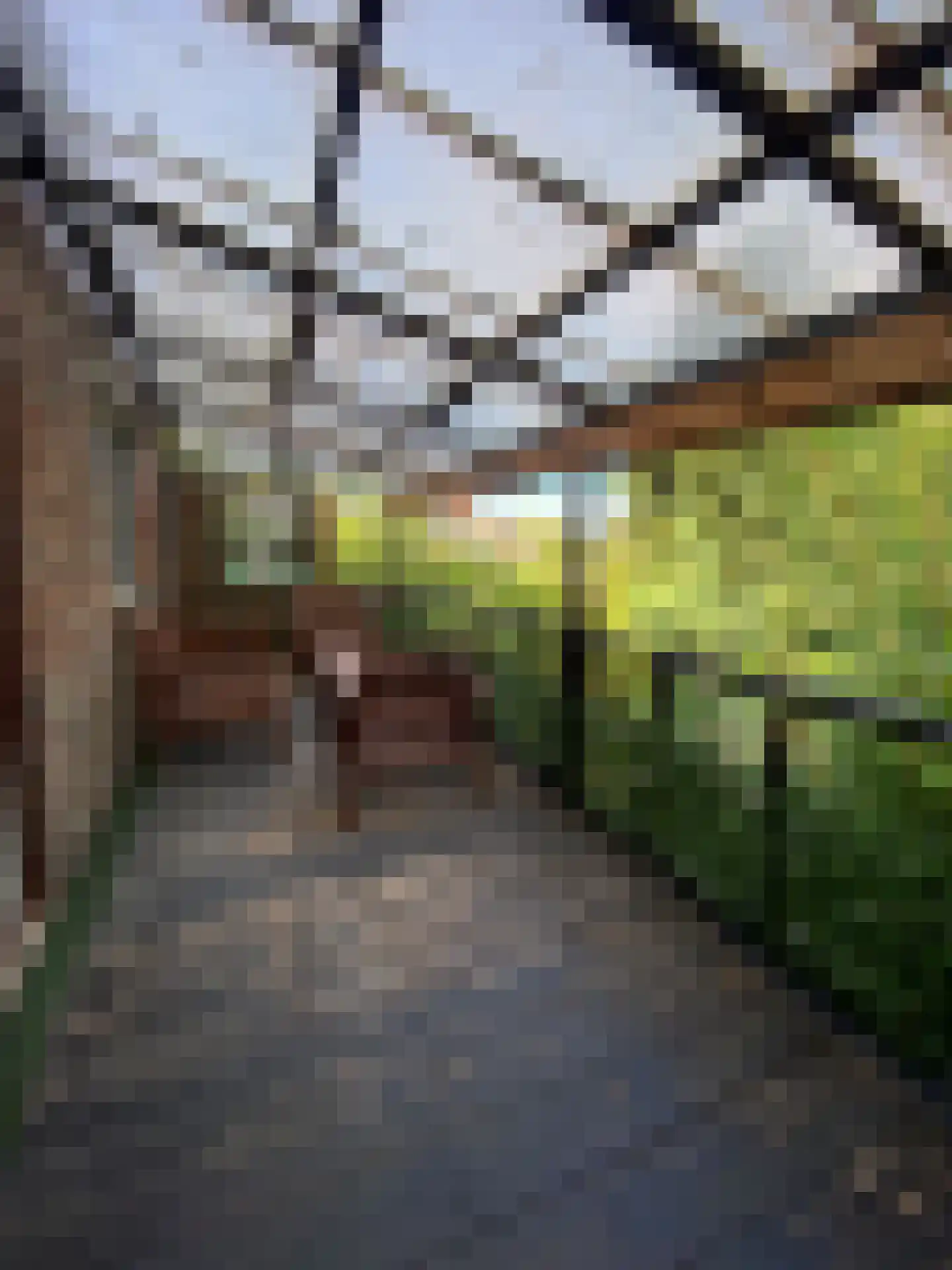 Graverstraat 168 Kerkrade thumbnail 18