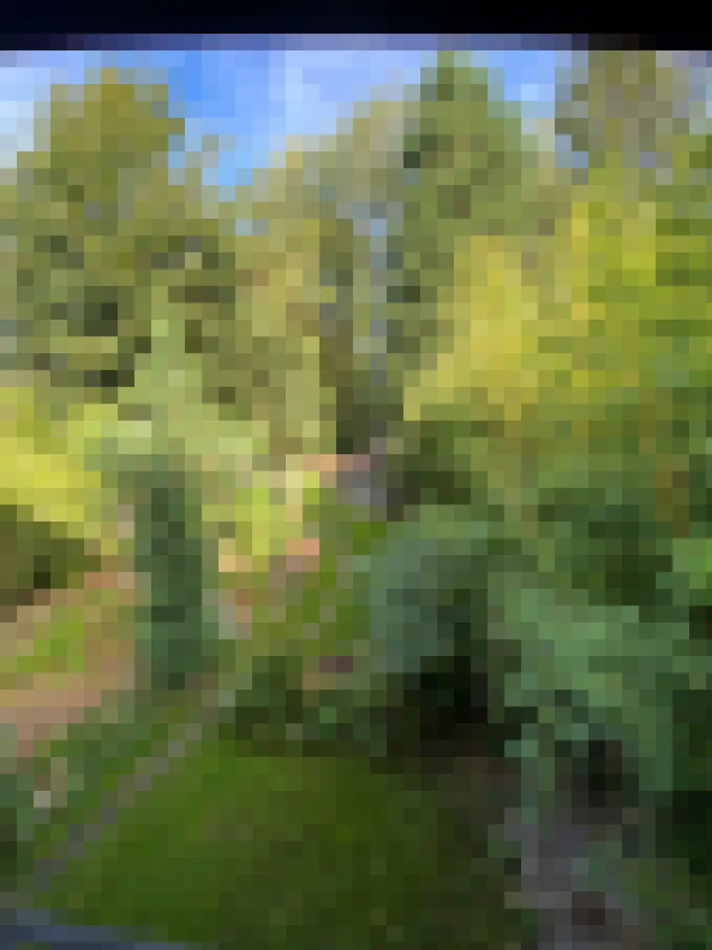 Graverstraat 168 Kerkrade thumbnail 20