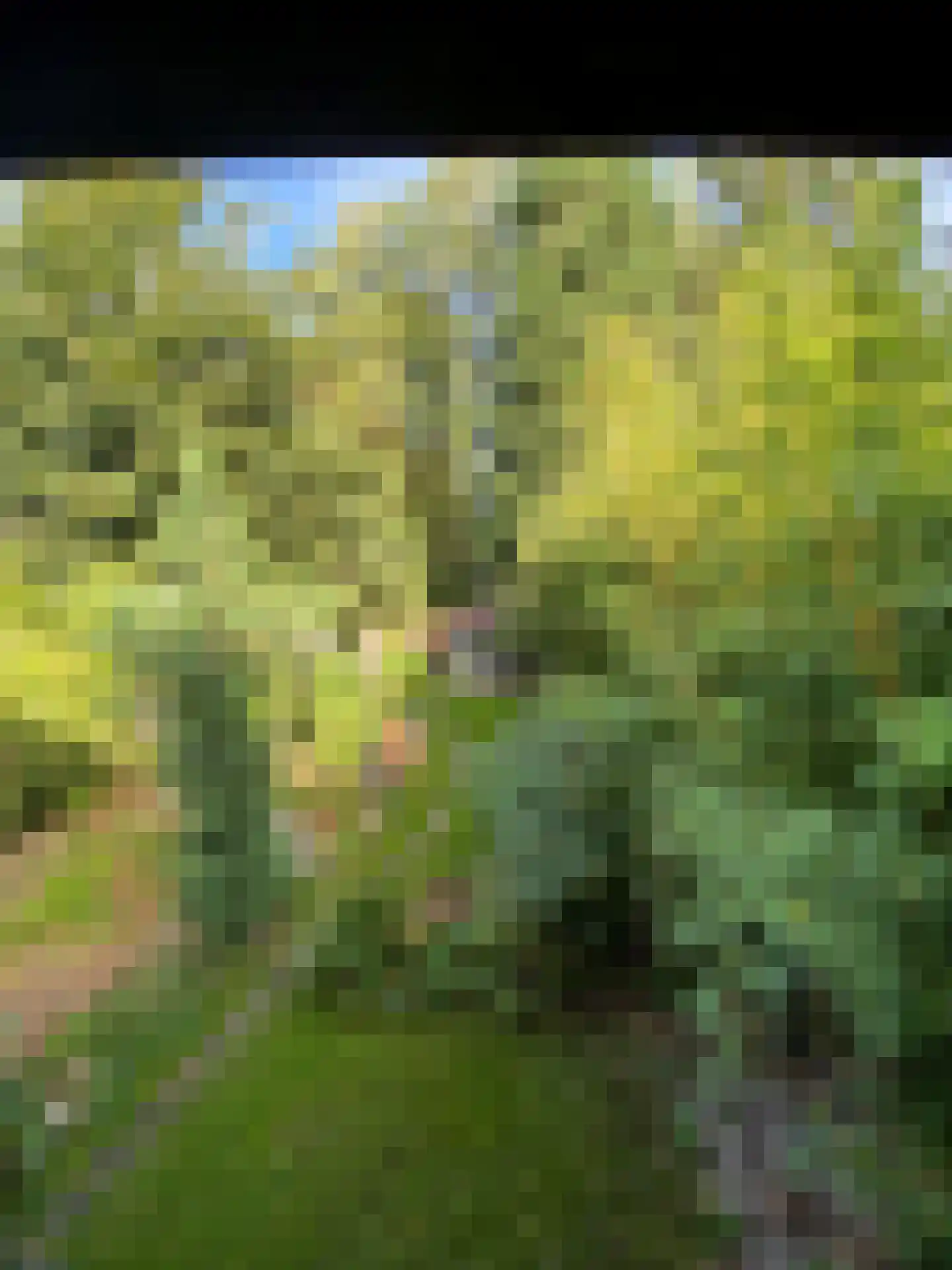 Graverstraat 168 Kerkrade thumbnail 21