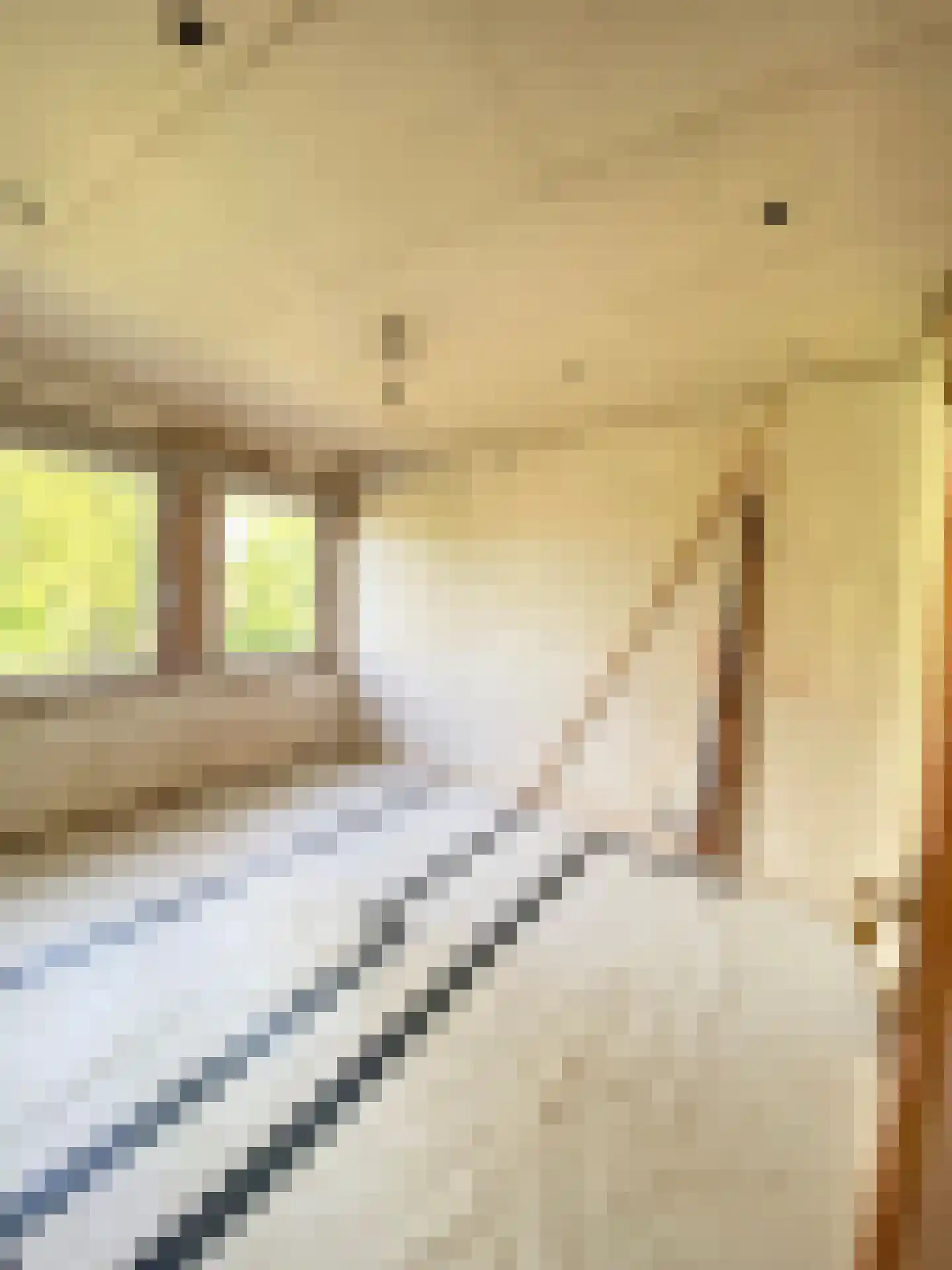 Graverstraat 168 Kerkrade thumbnail 23
