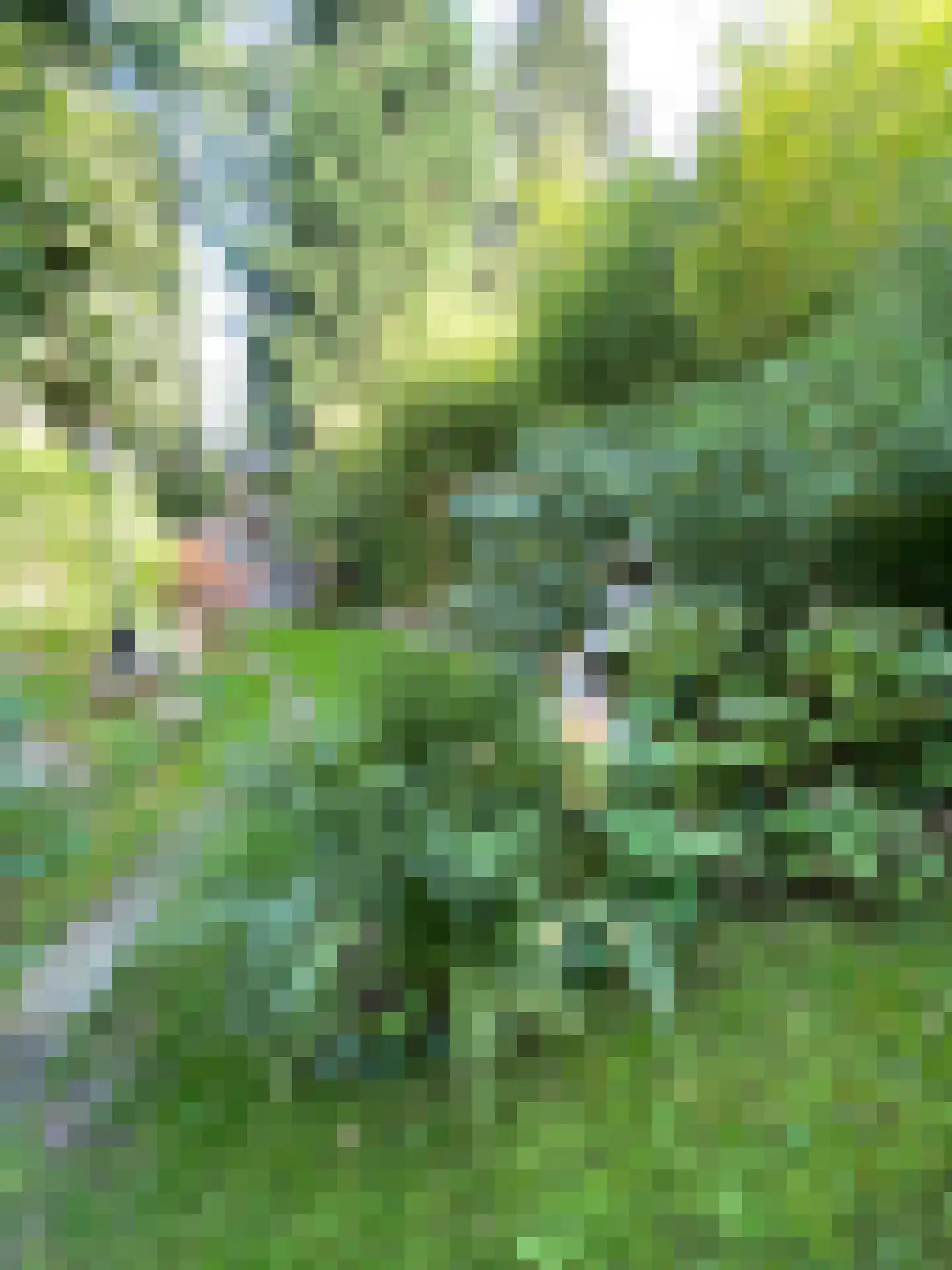 Graverstraat 168 Kerkrade thumbnail 44