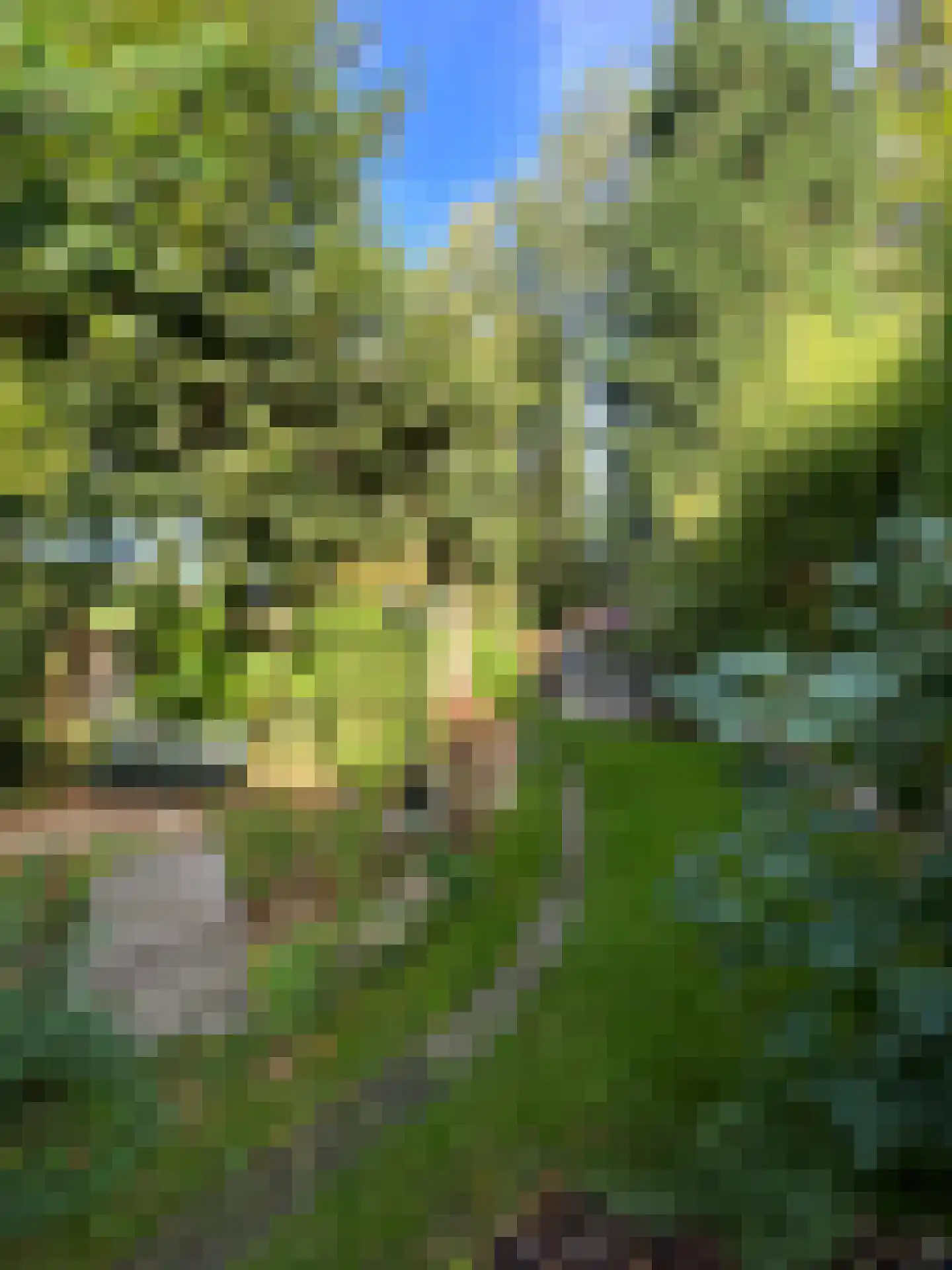 Graverstraat 168 Kerkrade thumbnail 46