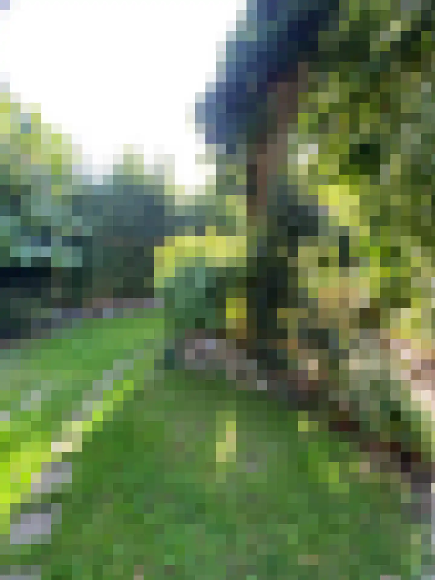 Graverstraat 168 Kerkrade thumbnail 48