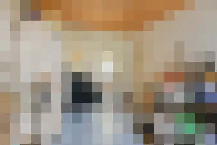 Graverstraat 24 Kerkrade thumbnail 26
