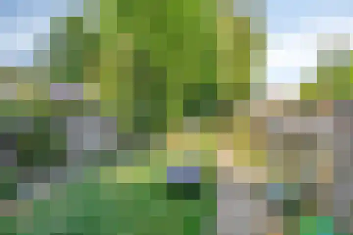 Graverstraat 24 Kerkrade thumbnail 6