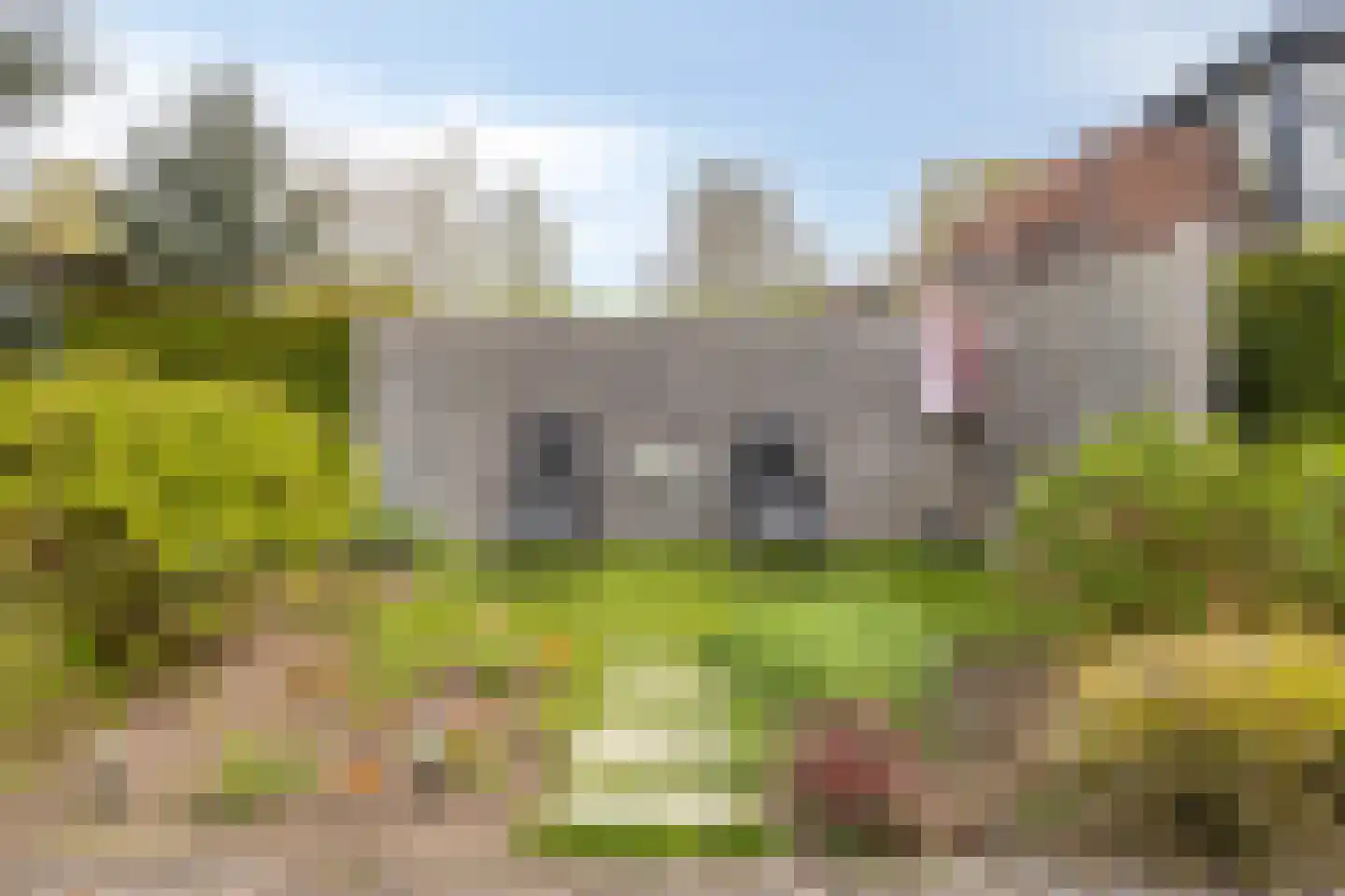 Graveur 20 Uden thumbnail 34