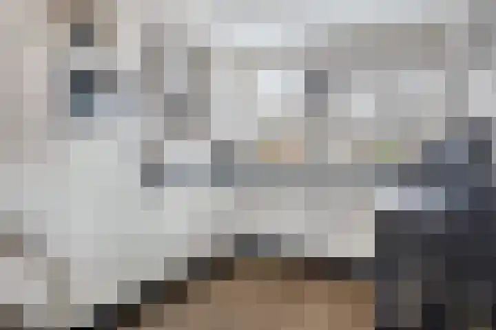 Graveurstraat 1 Alkmaar thumbnail 18