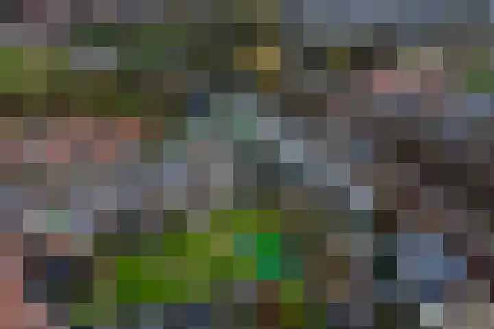 Graveurstraat 1 Alkmaar thumbnail 30