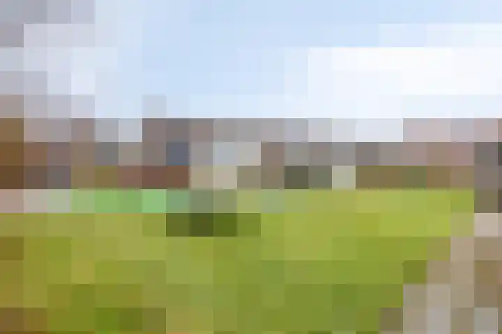 Graveurstraat 1 Alkmaar thumbnail 49