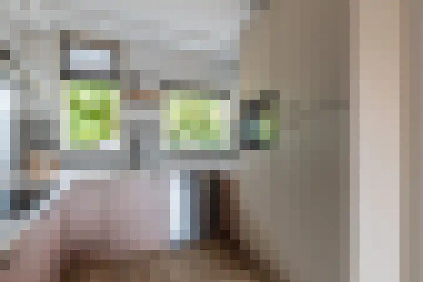 Graveurstraat 77 Alkmaar thumbnail 11