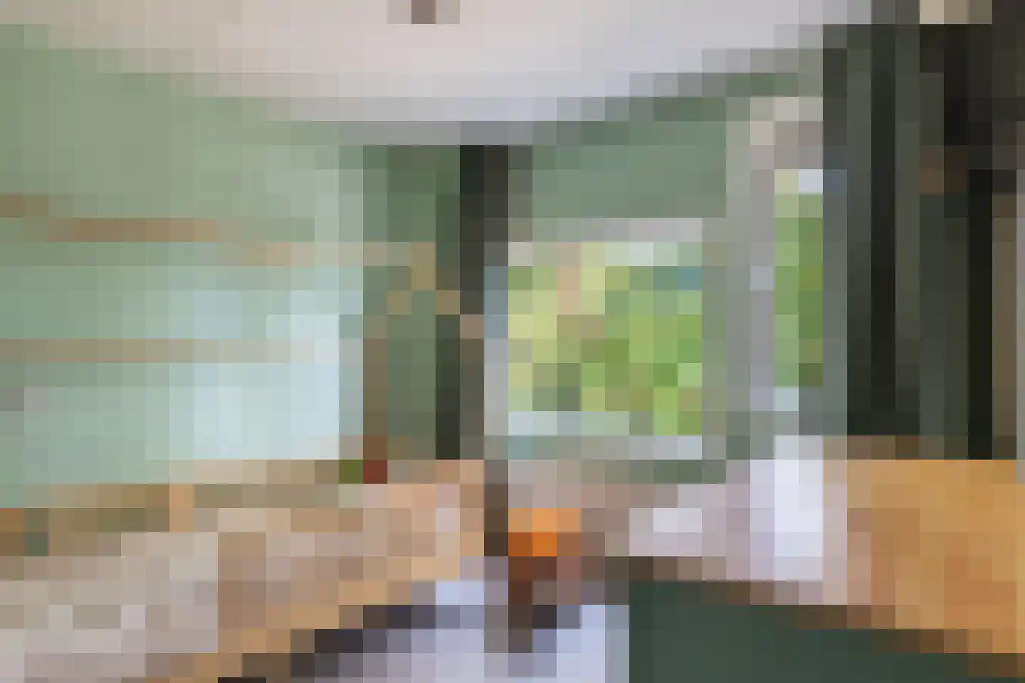 Graveurstraat 77 Alkmaar thumbnail 24