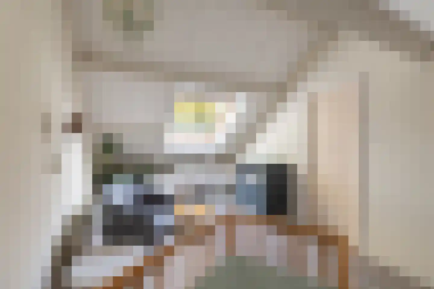 Graveurstraat 77 Alkmaar thumbnail 34