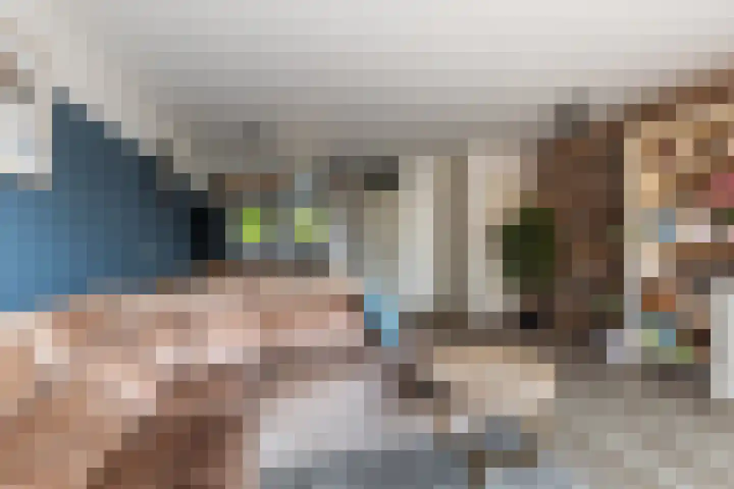 Graveurstraat 77 Alkmaar thumbnail 6