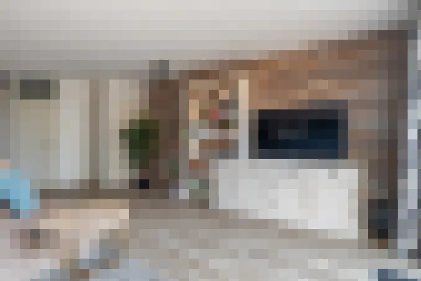 Graveurstraat 77 Alkmaar thumbnail 8