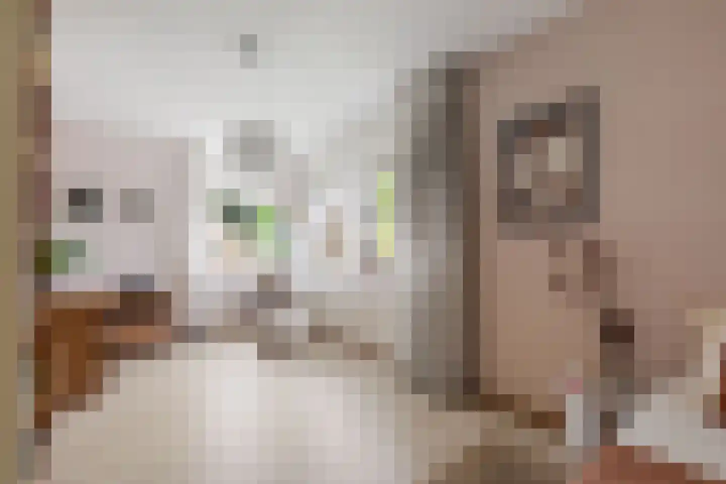 Gravin Adahof 7 Vogelenzang thumbnail 14