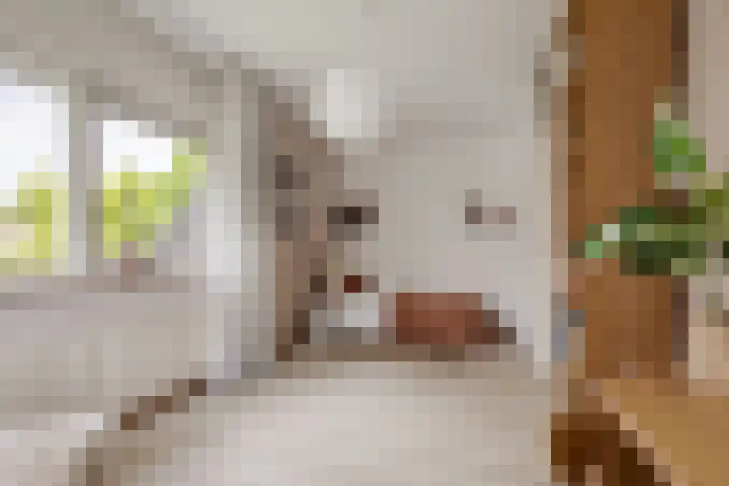 Gravin Adahof 7 Vogelenzang thumbnail 15