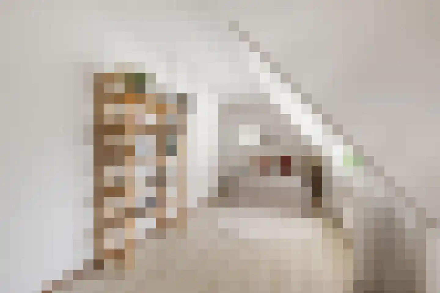 Gravin Adahof 7 Vogelenzang thumbnail 16