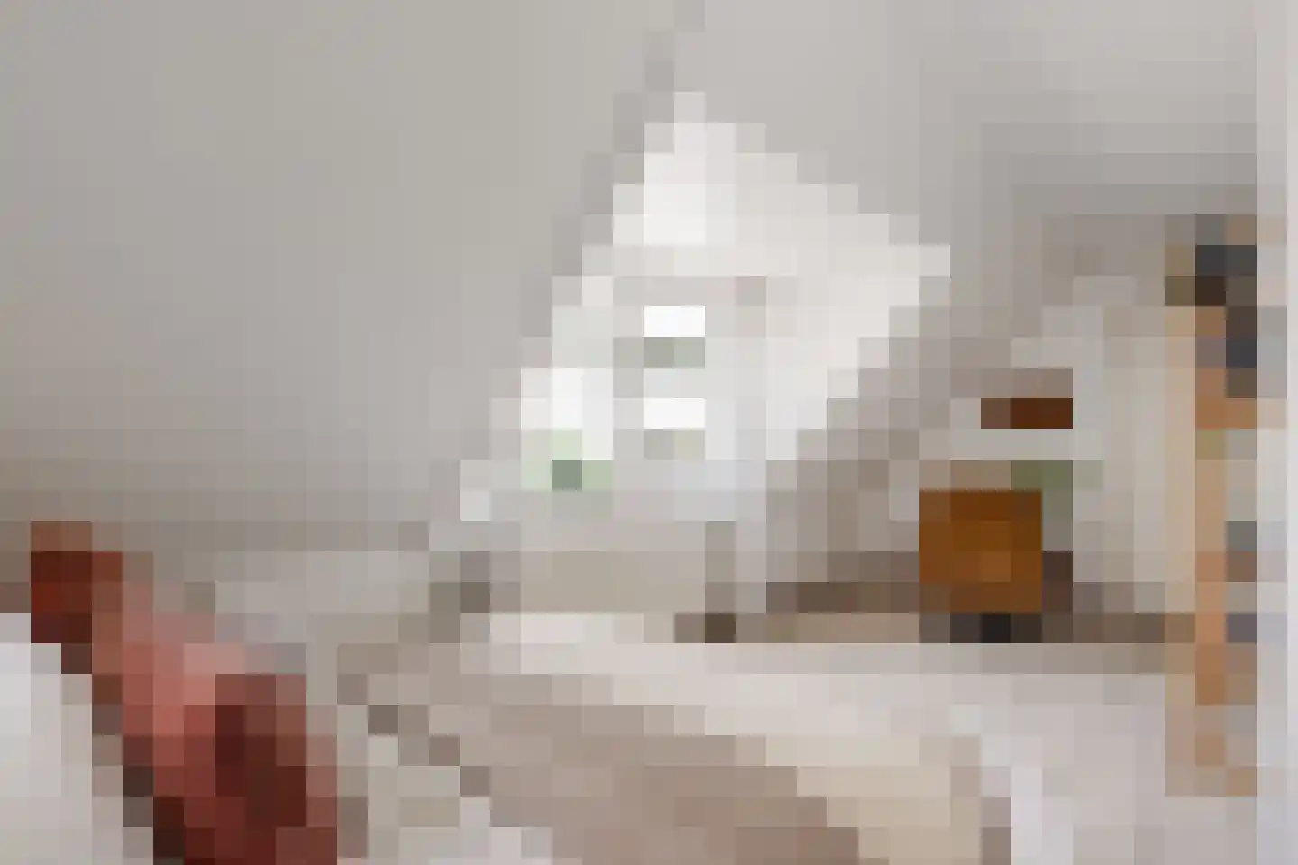 Gravin Adahof 7 Vogelenzang thumbnail 17
