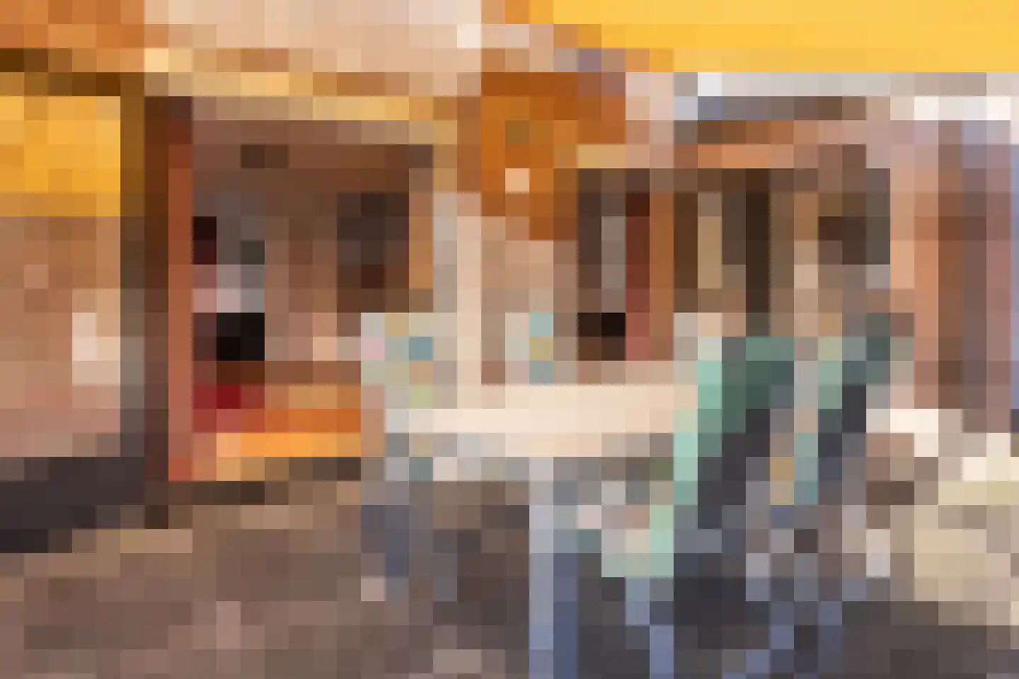 Gravin Adahof 7 Vogelenzang thumbnail 18