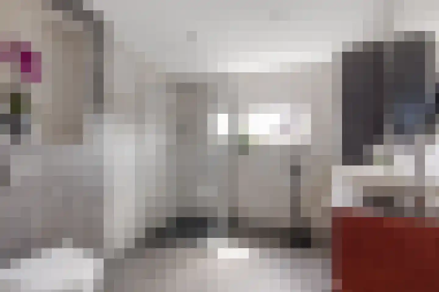 Gravin Adahof 7 Vogelenzang thumbnail 18