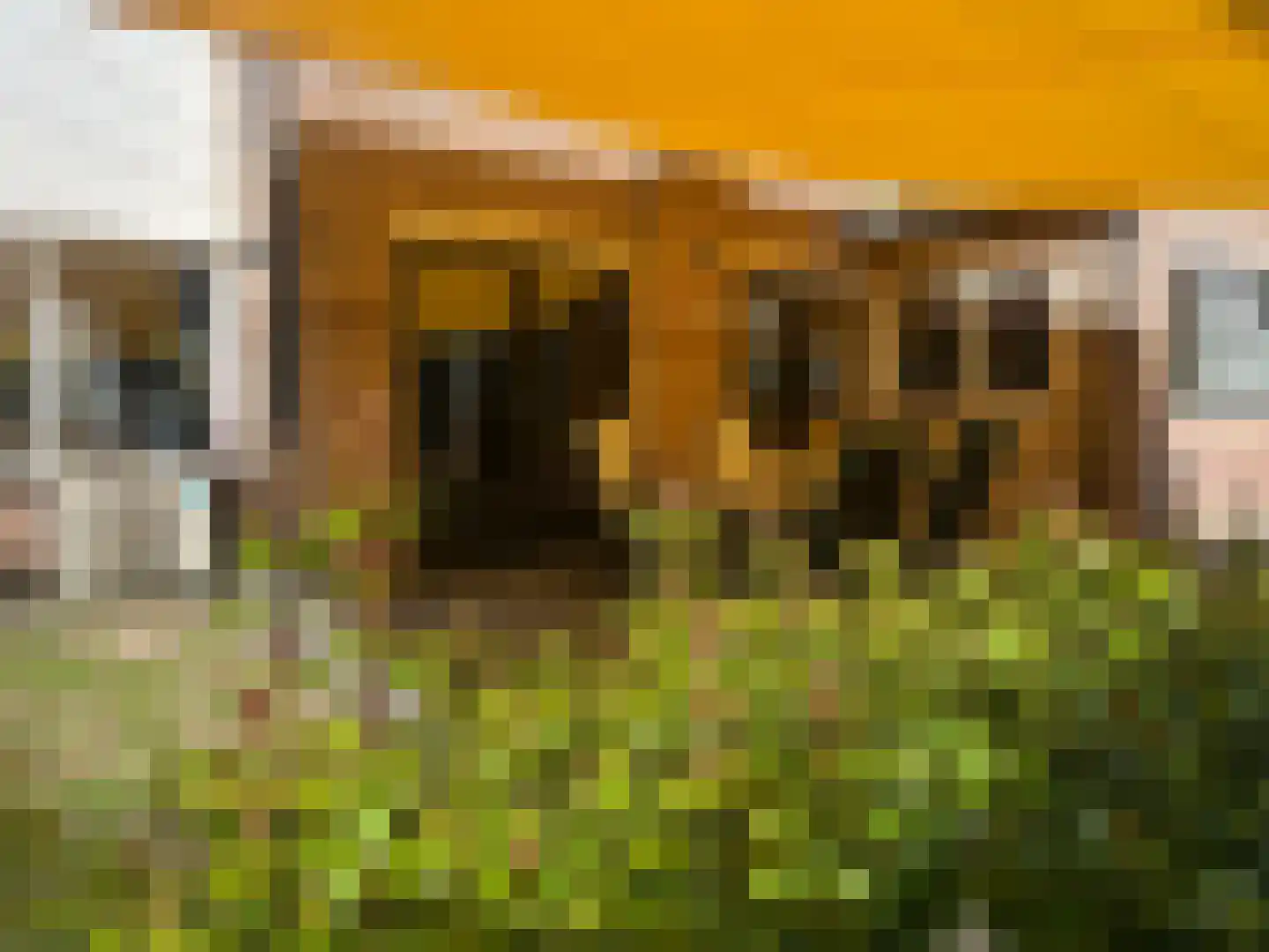 Gravin Adahof 7 Vogelenzang thumbnail 19