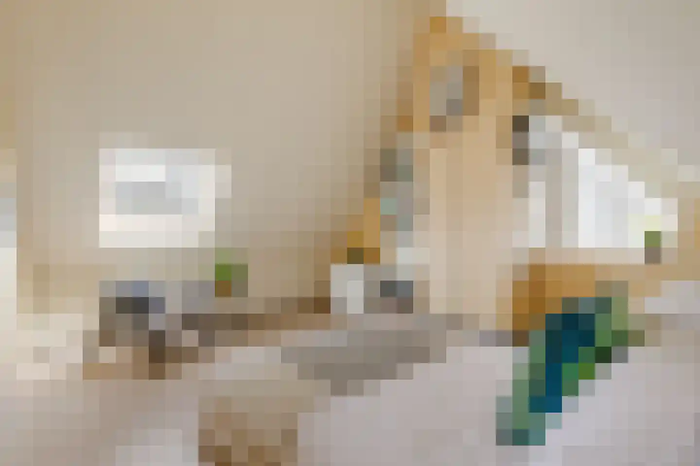 Gravin Adahof 7 Vogelenzang thumbnail 20