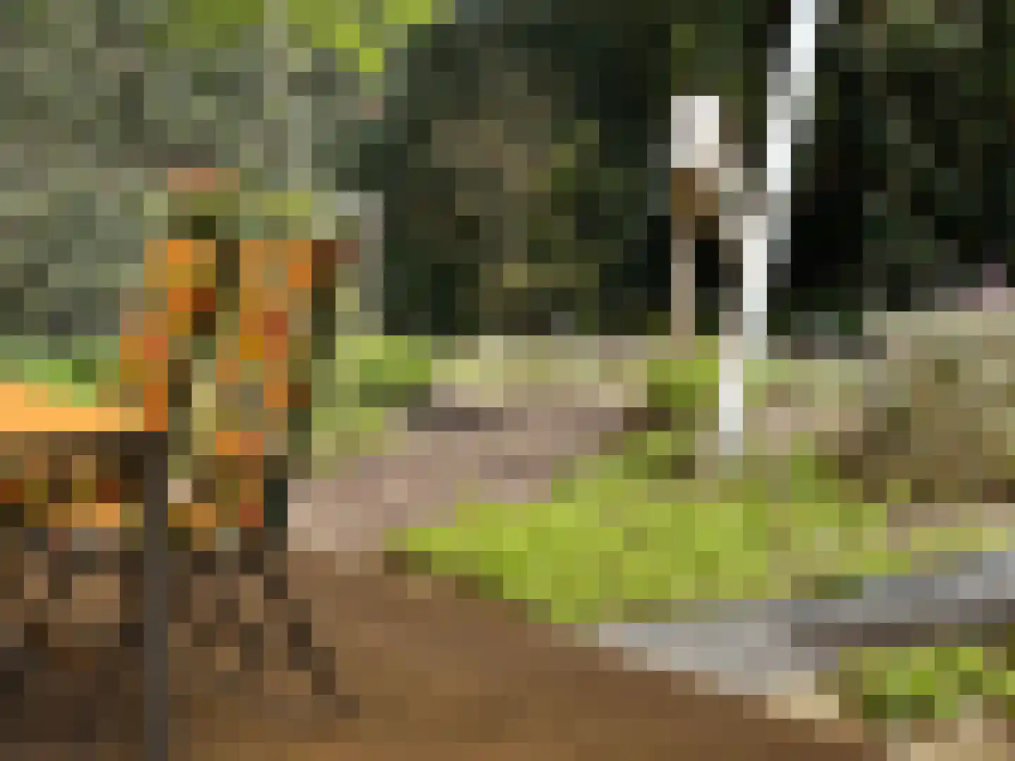 Gravin Adahof 7 Vogelenzang thumbnail 20