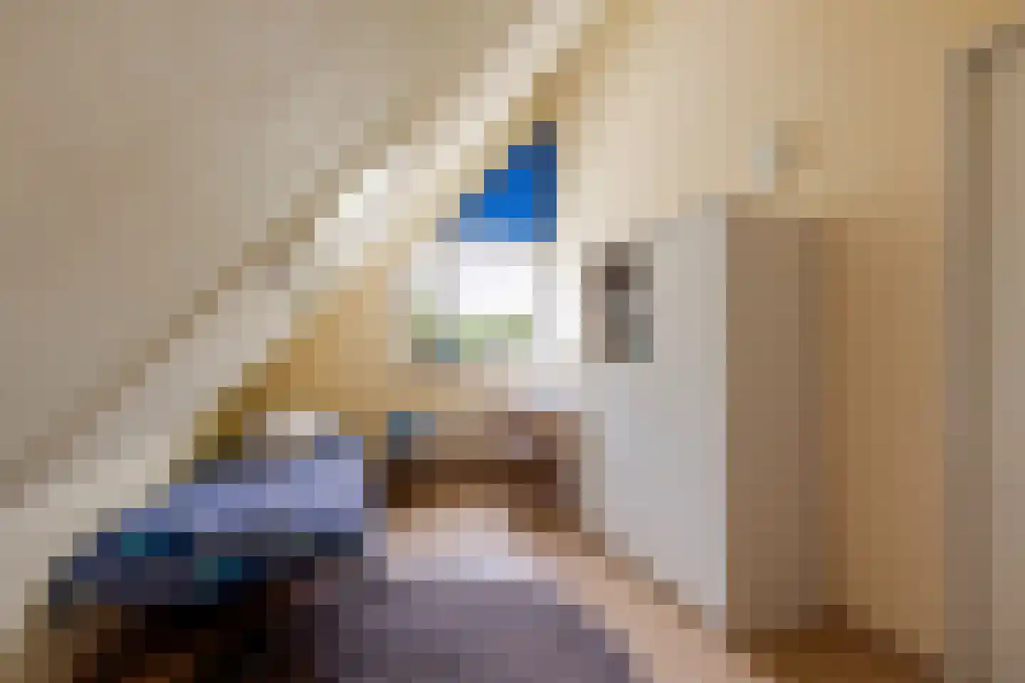 Gravin Adahof 7 Vogelenzang thumbnail 21