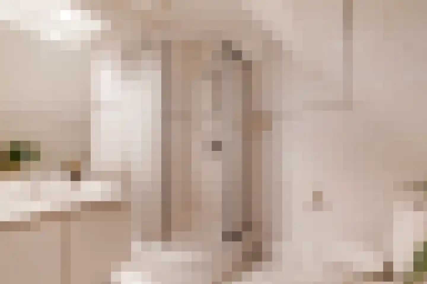 Gravin Adahof 7 Vogelenzang thumbnail 22