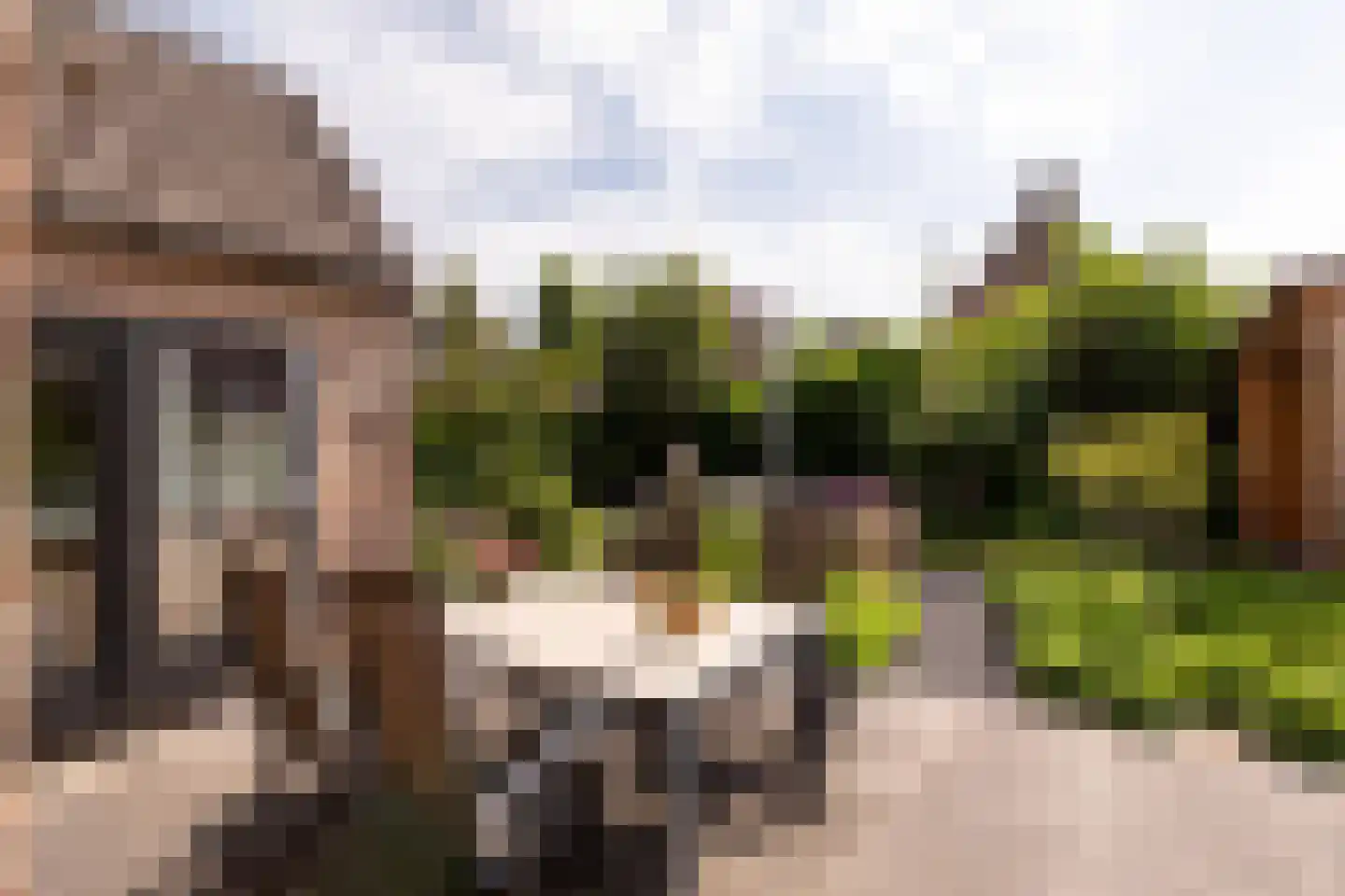 Gravin Adahof 7 Vogelenzang thumbnail 25