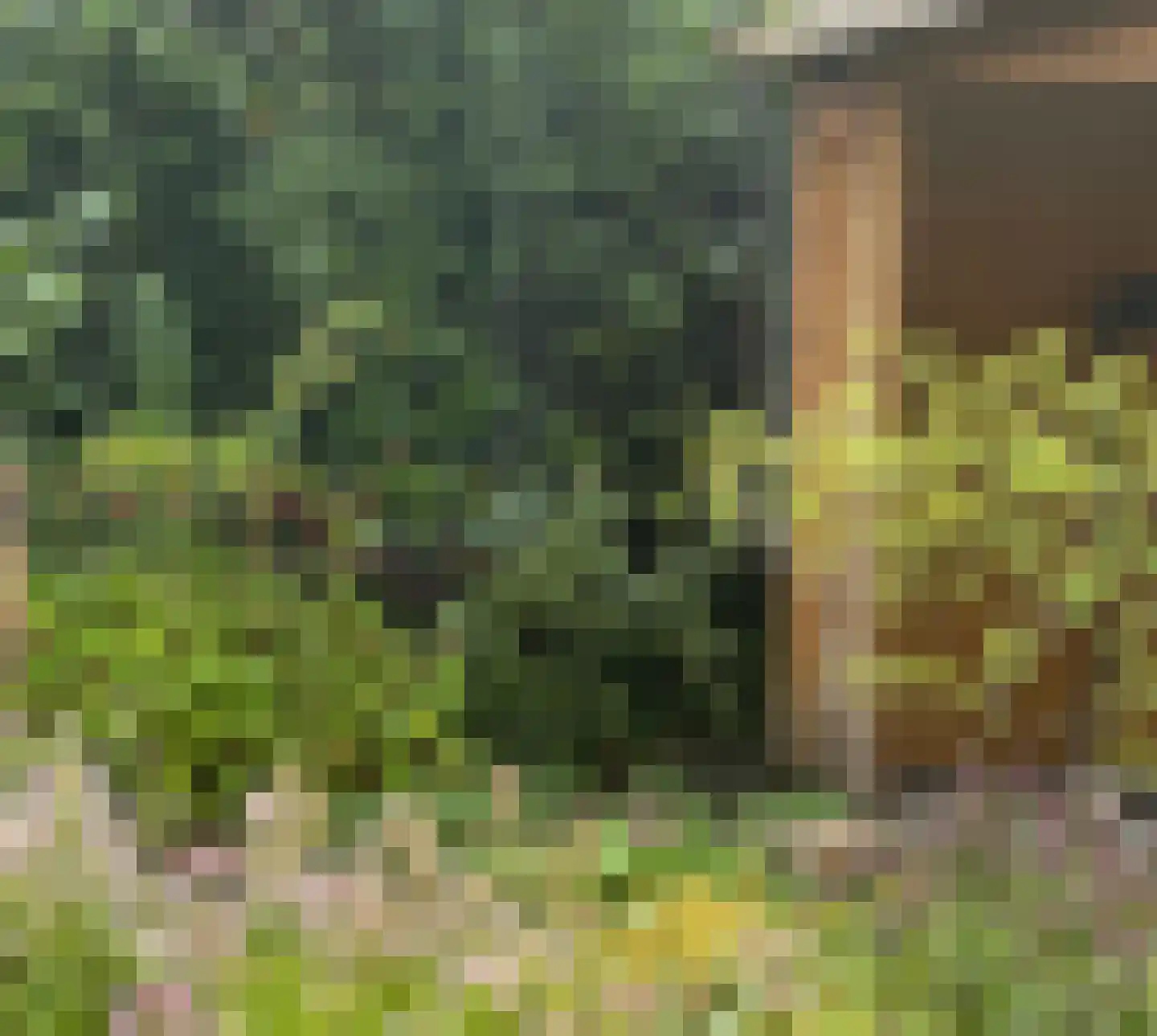 Gravin Adahof 7 Vogelenzang thumbnail 25