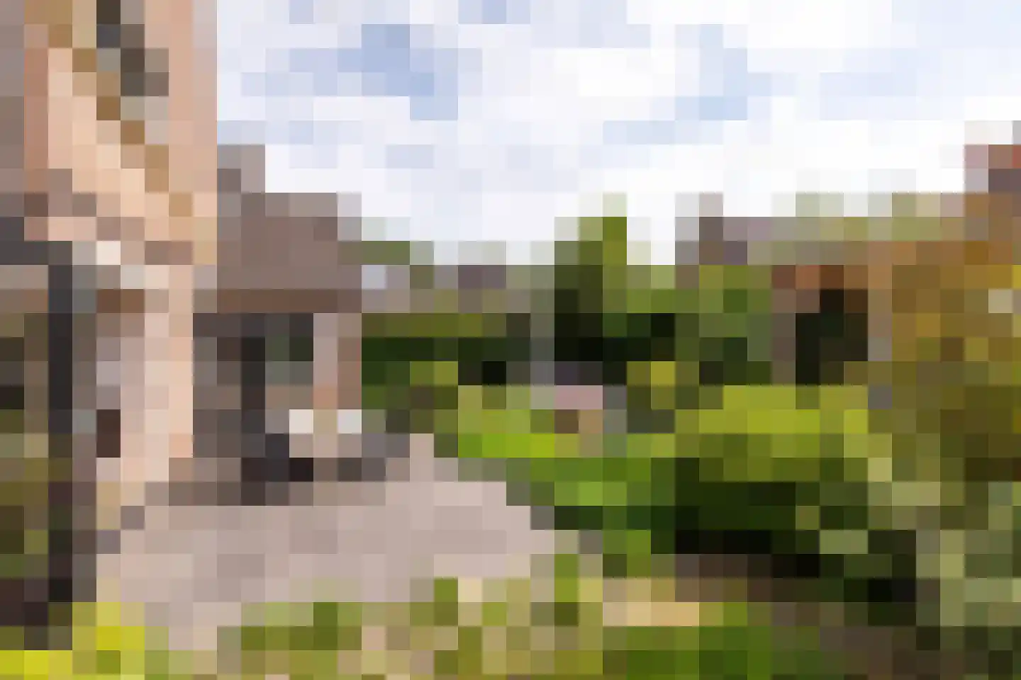 Gravin Adahof 7 Vogelenzang thumbnail 26
