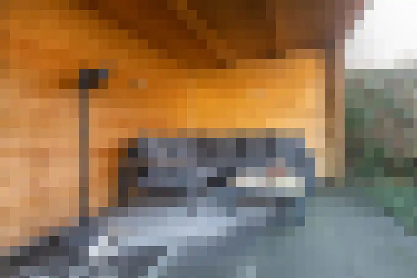 Gravin Adahof 7 Vogelenzang thumbnail 27