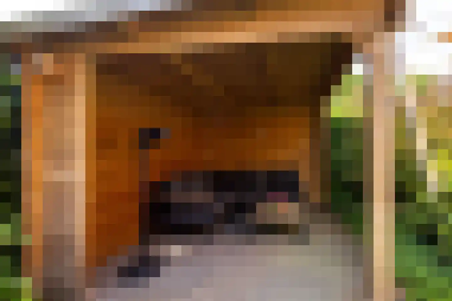 Gravin Adahof 7 Vogelenzang thumbnail 28