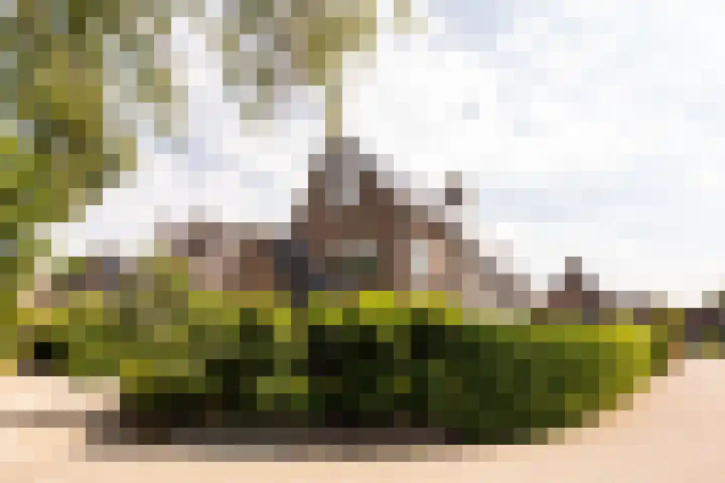 Gravin Adahof 7 Vogelenzang thumbnail 29