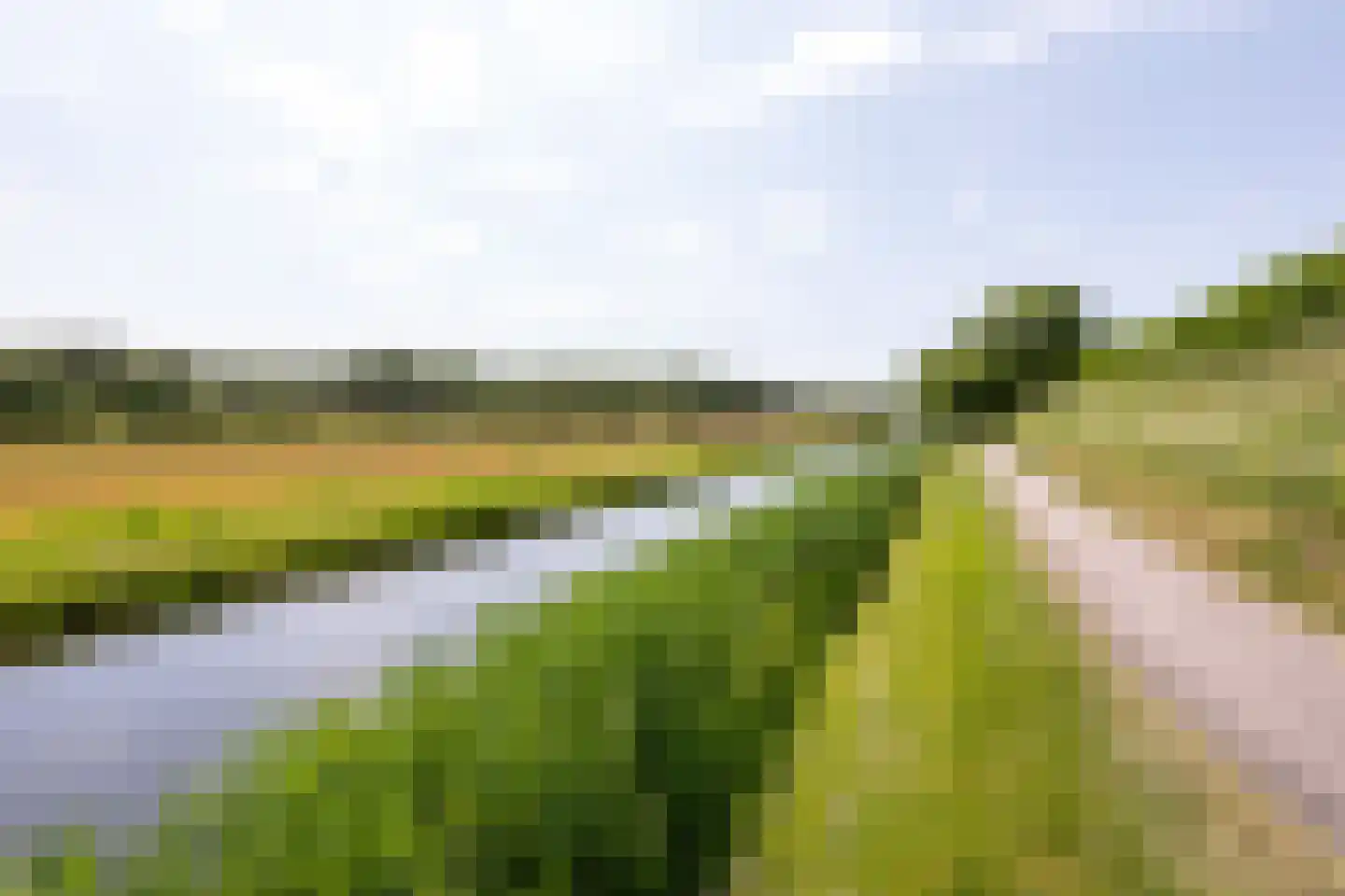 Gravin Adahof 7 Vogelenzang thumbnail 31