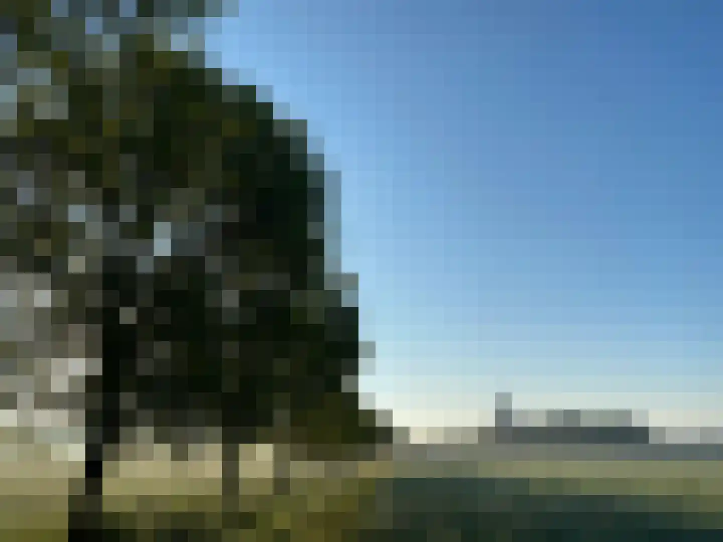 Gravin Adahof 7 Vogelenzang thumbnail 32